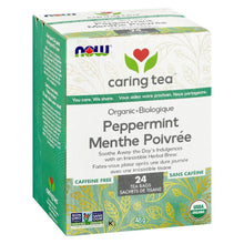 Load image into Gallery viewer, Caring Tea Elderberry Wellness 24s