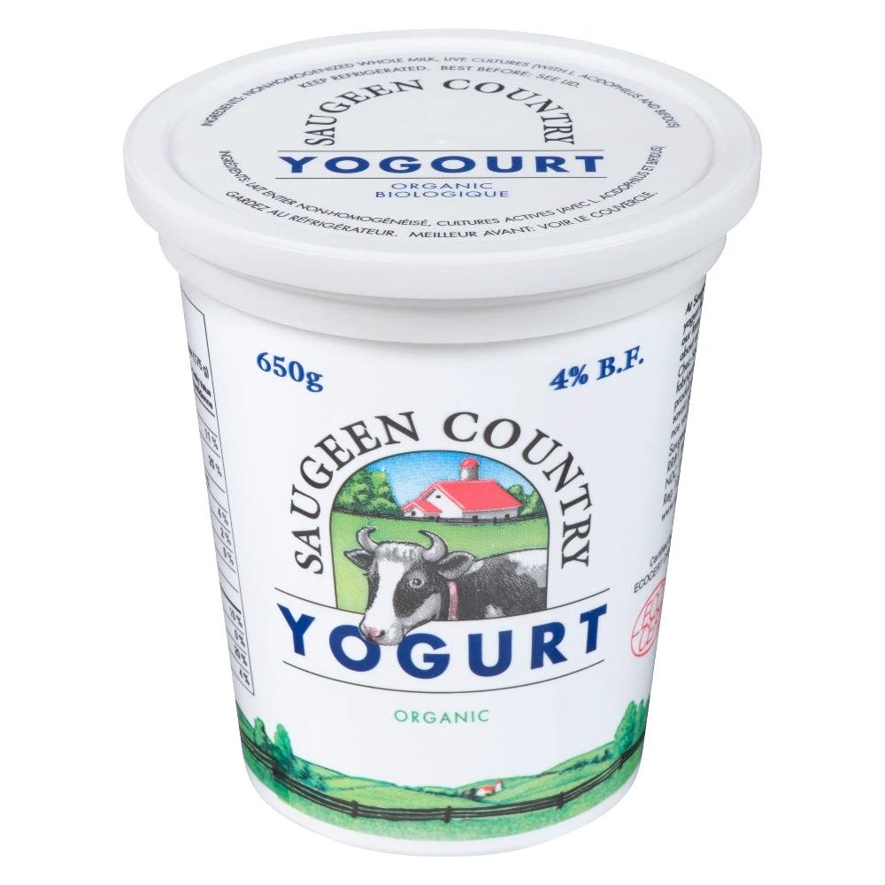 Saugeen Yogurt 650g