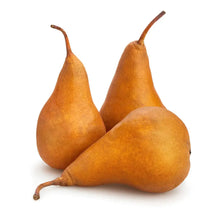 Load image into Gallery viewer, Pears Bosc Organic Each