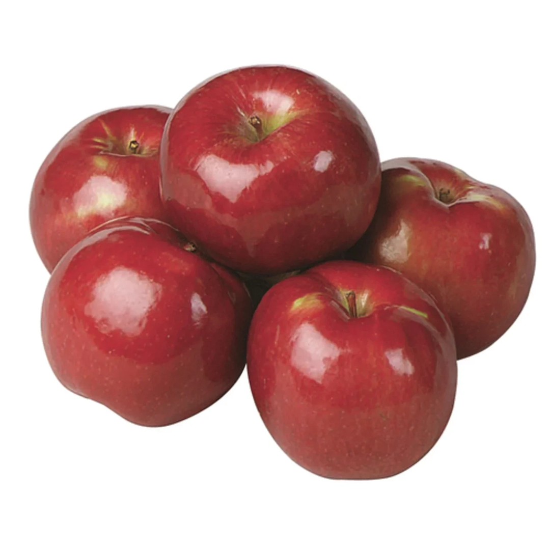 Spartan Apples Each