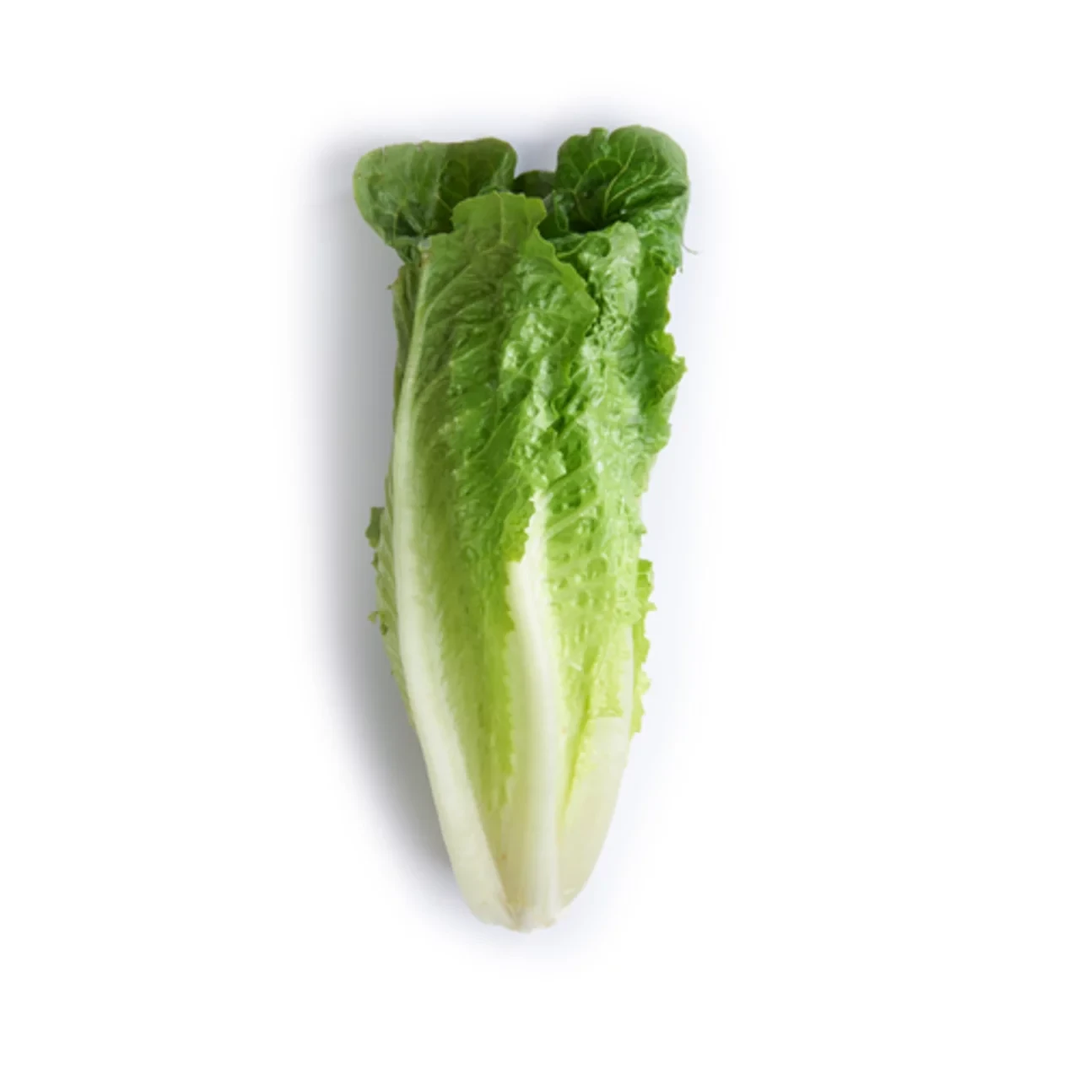 Romaine Lettuce Org each