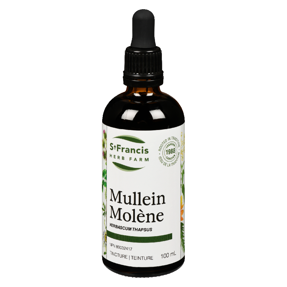Mullein 100ml
