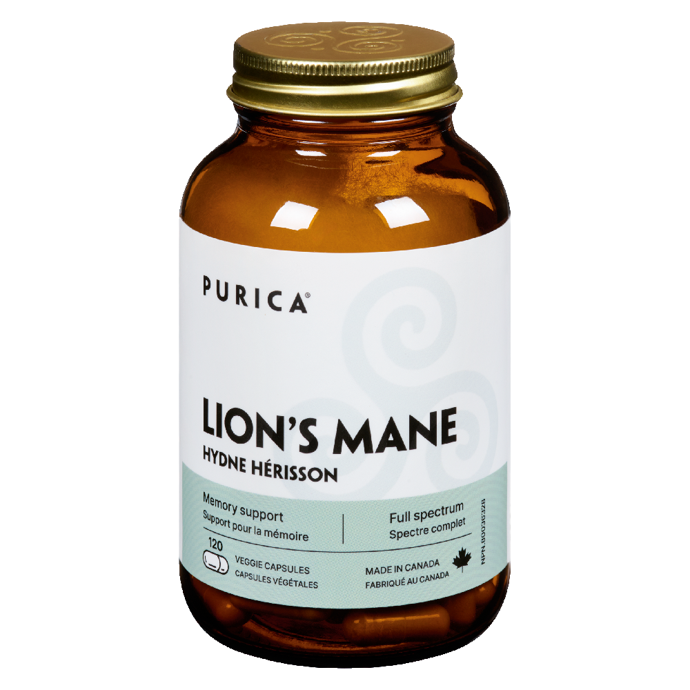 Lion&