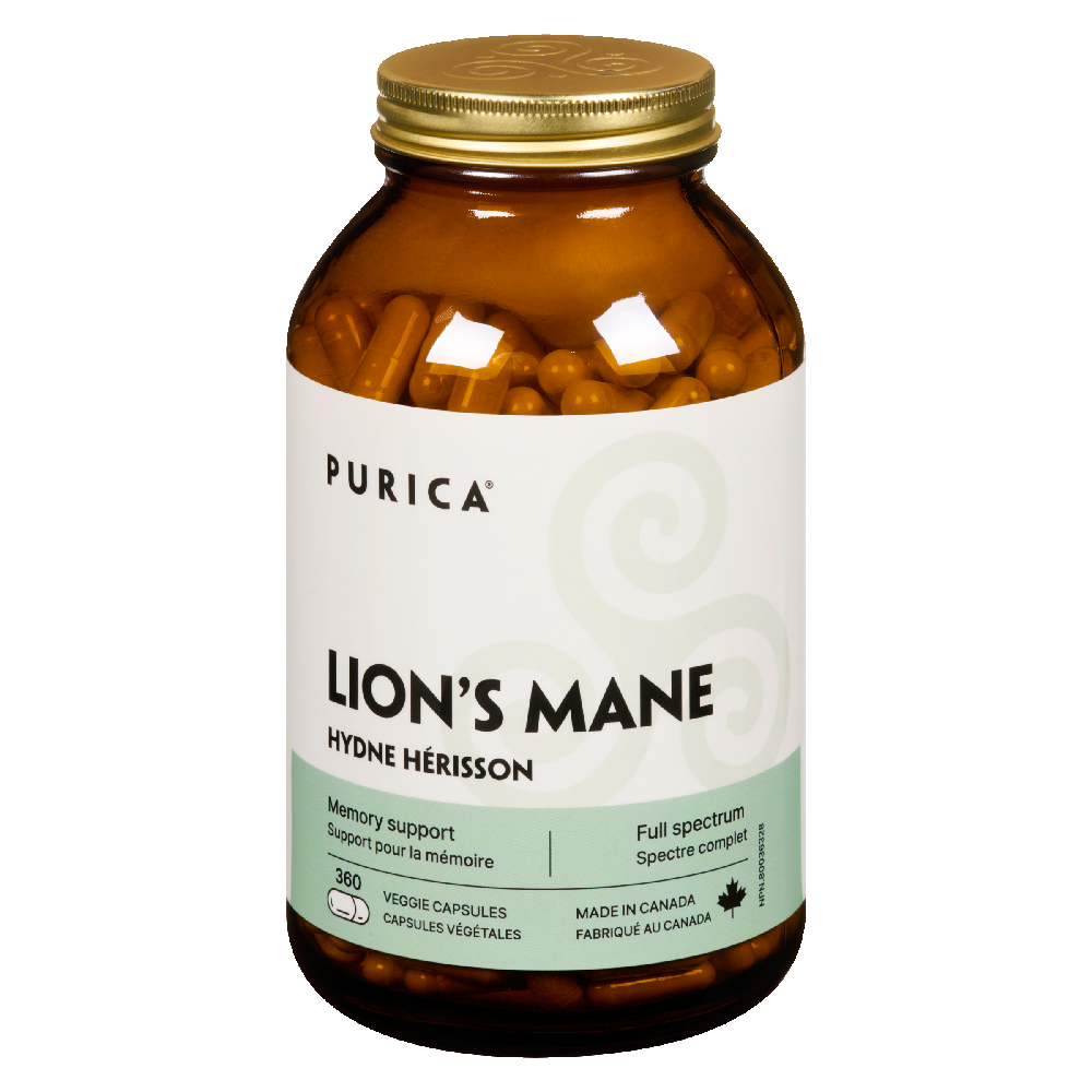Lion&