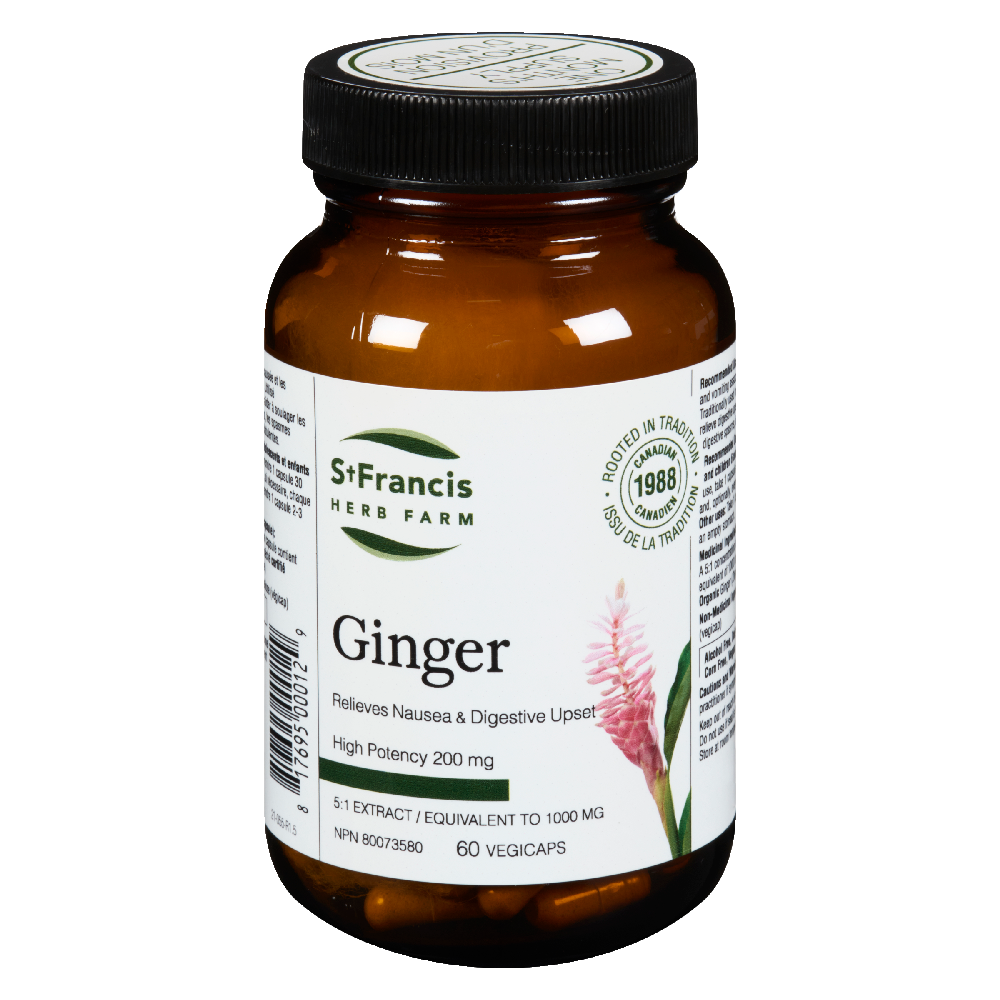 Astragalus