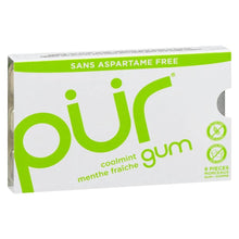 Load image into Gallery viewer, Coolmint Gum 9pc
