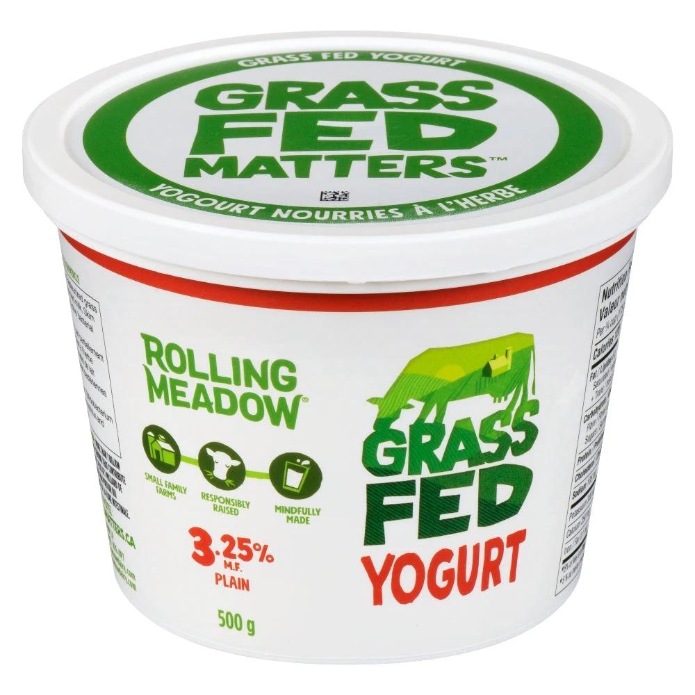 3.25% Plain Yogurt 500g