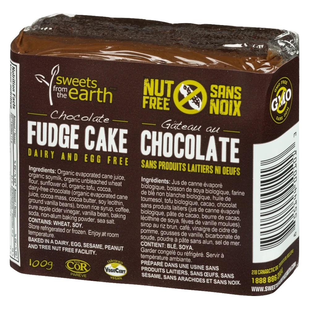 Cake Chocolate Fudge 100g