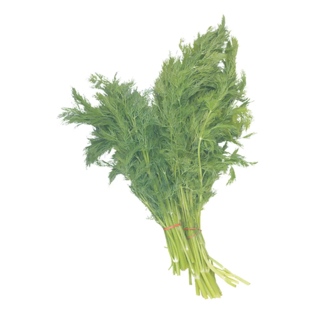 Dill Organic each