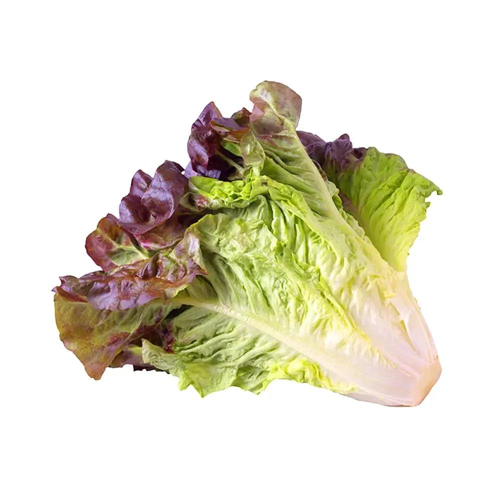Red Leaf Lettuce Org each