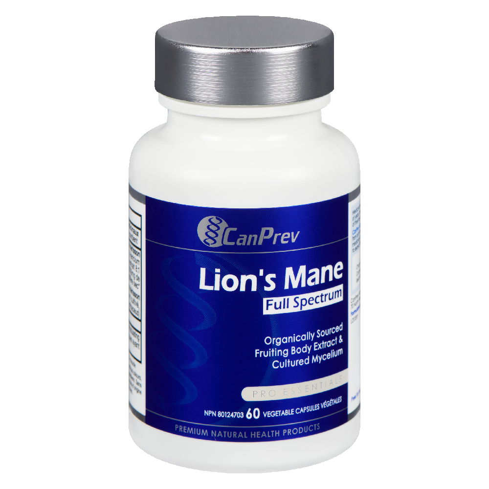 Lion&
