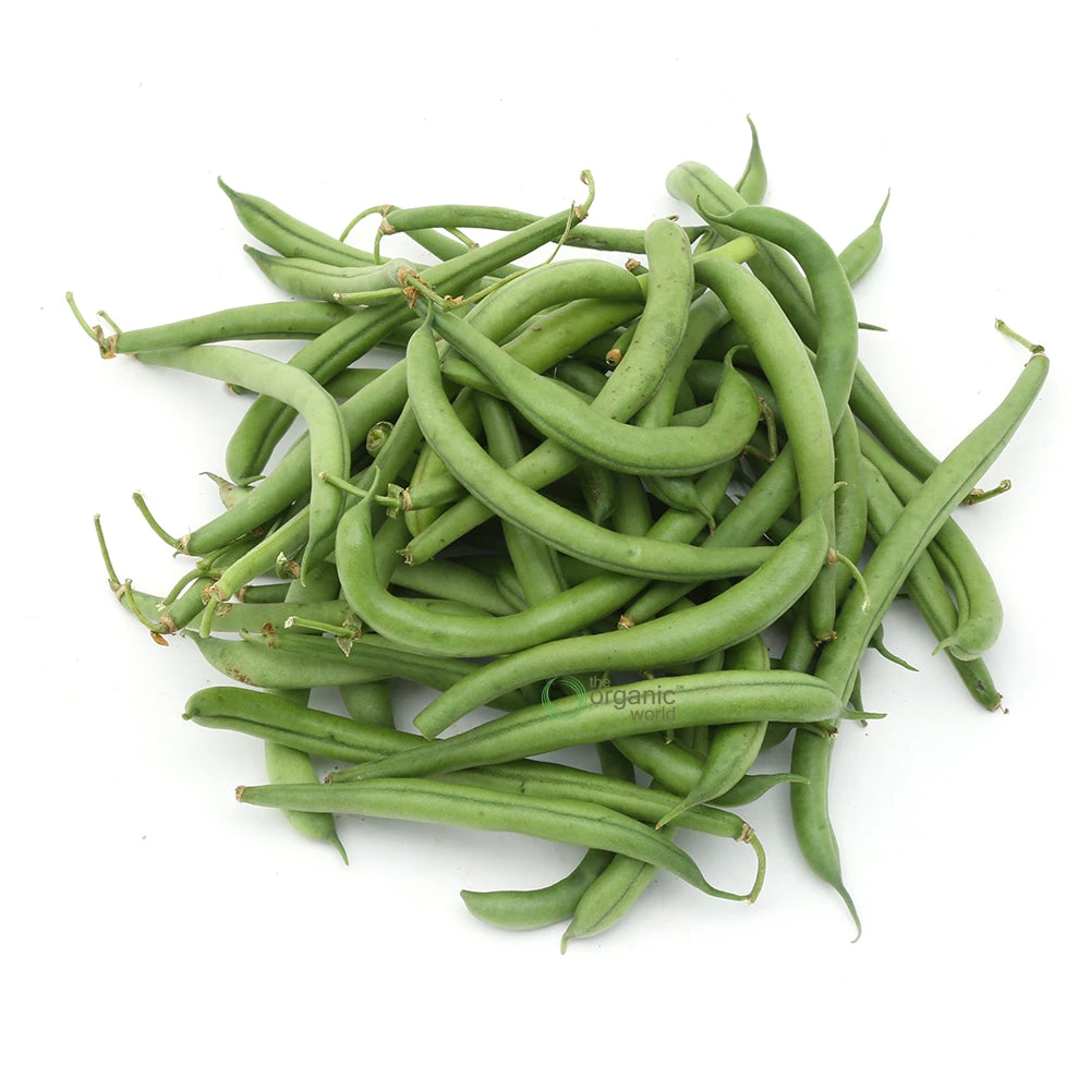 Beans Green Organic per KG