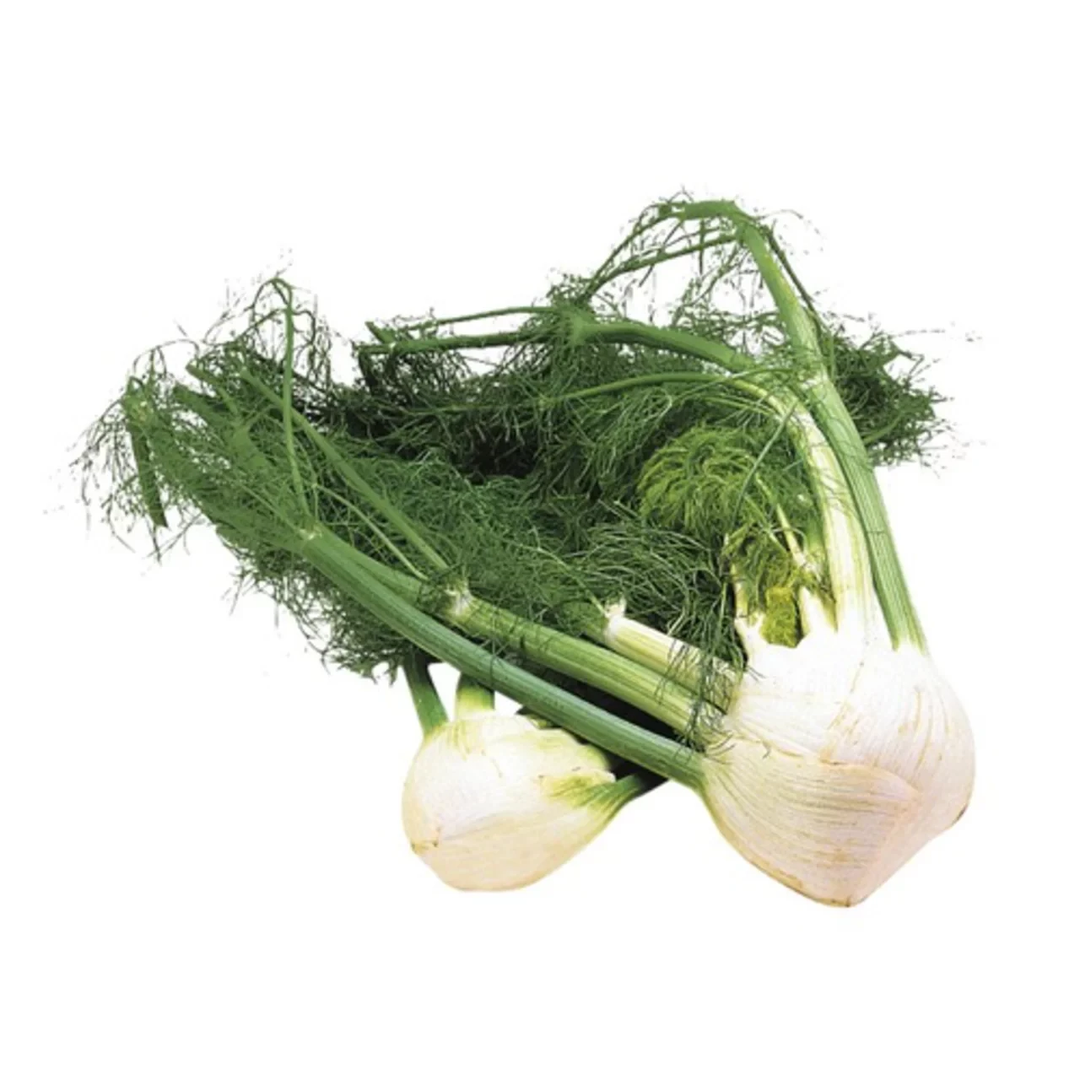 Fennel Organic each