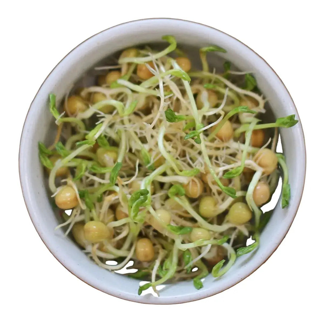 Local Snow Pea Sprouts 80g