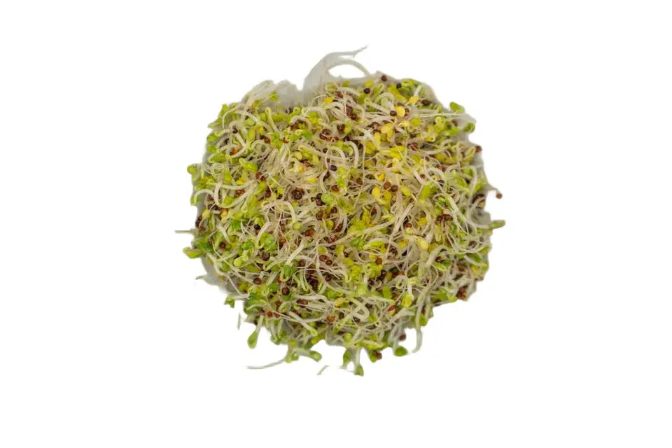 Local Broccoli Sprouts 80g