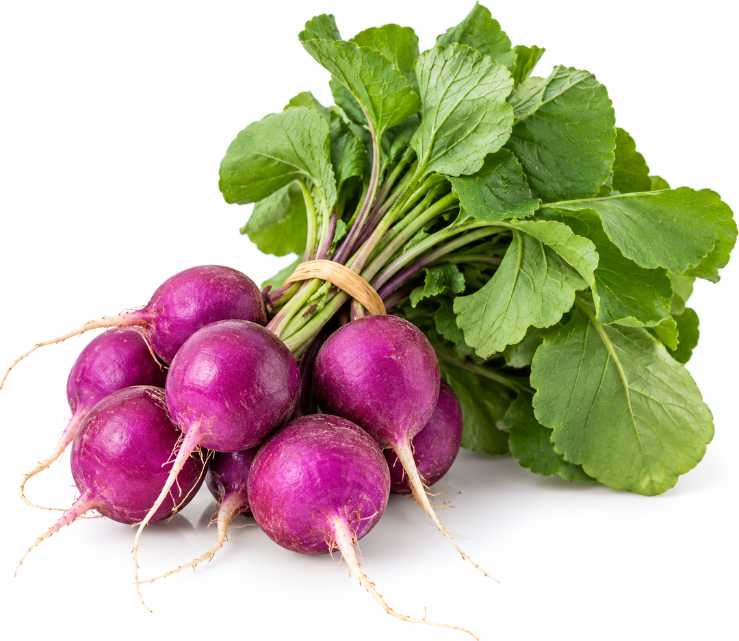 Purple Radish Bunch Organic