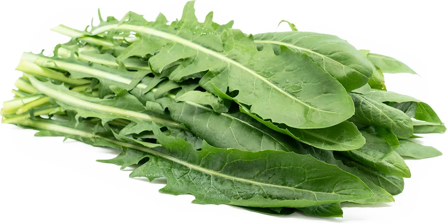DANDELION GREEN ORGA by Produce Items