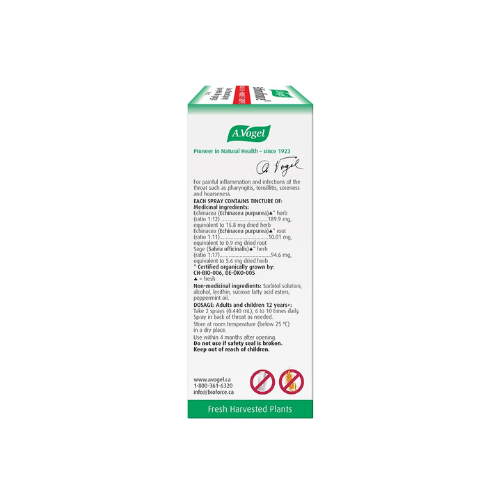Echinaforce Sore Thr 30mL by Vogel
