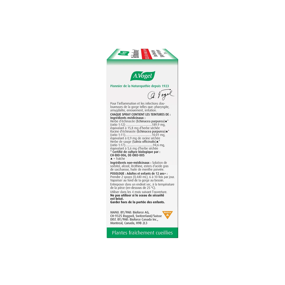 Echinaforce Sore Thr 30mL by Vogel