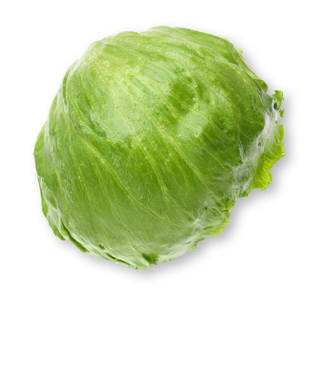 Lettuce Iceberg Org each