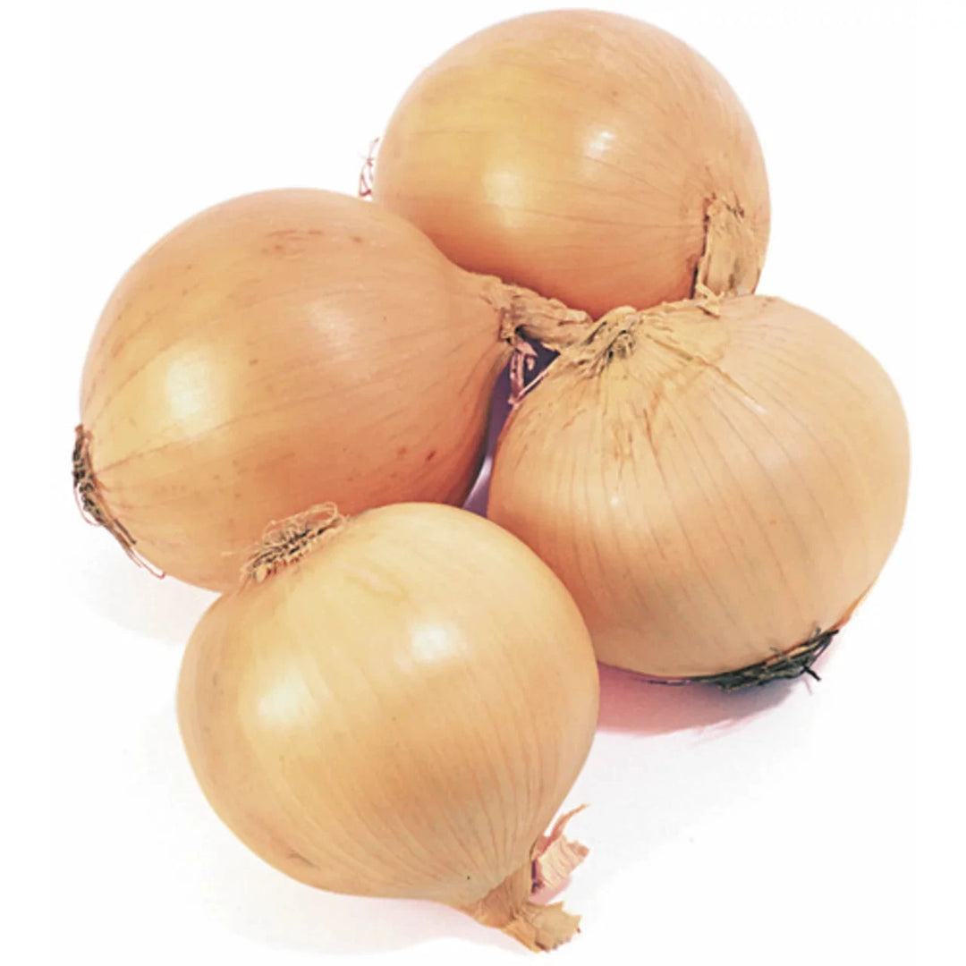 ONIONS 3 lb by Produce Items