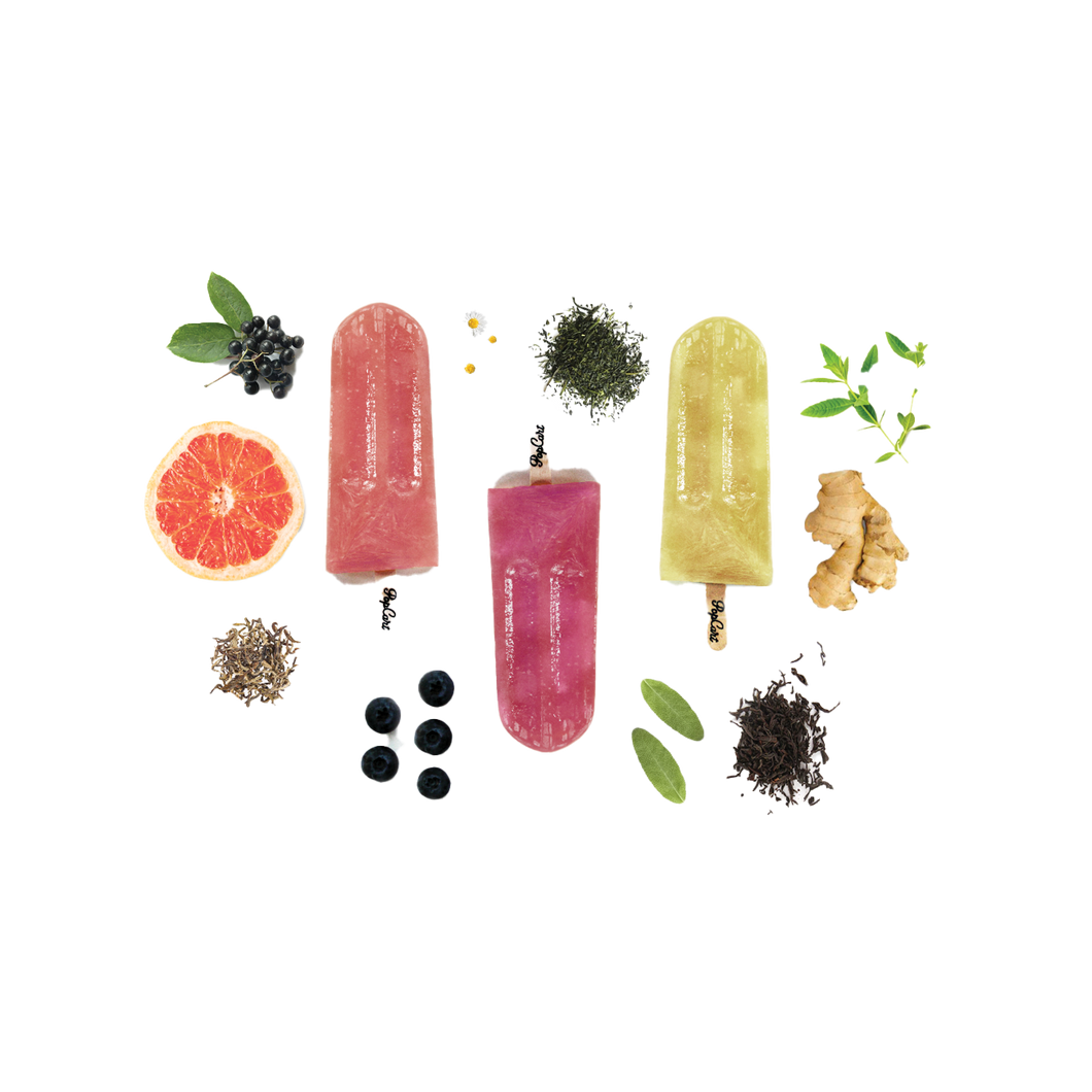 Kombucha Collection Ice Pops 6Pack