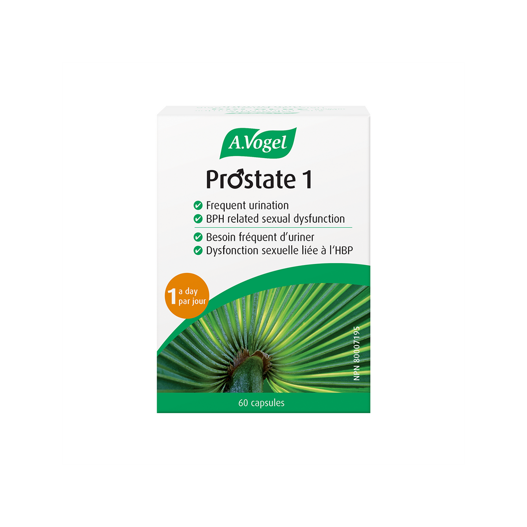 Prostate 1 Saw Palm 60s