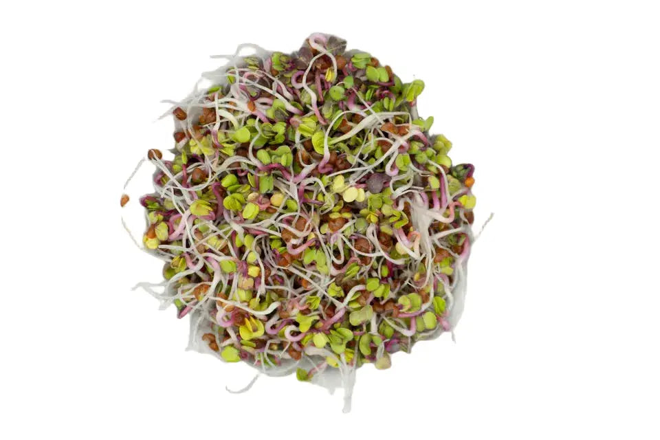 Local Radish Sprouts 80g