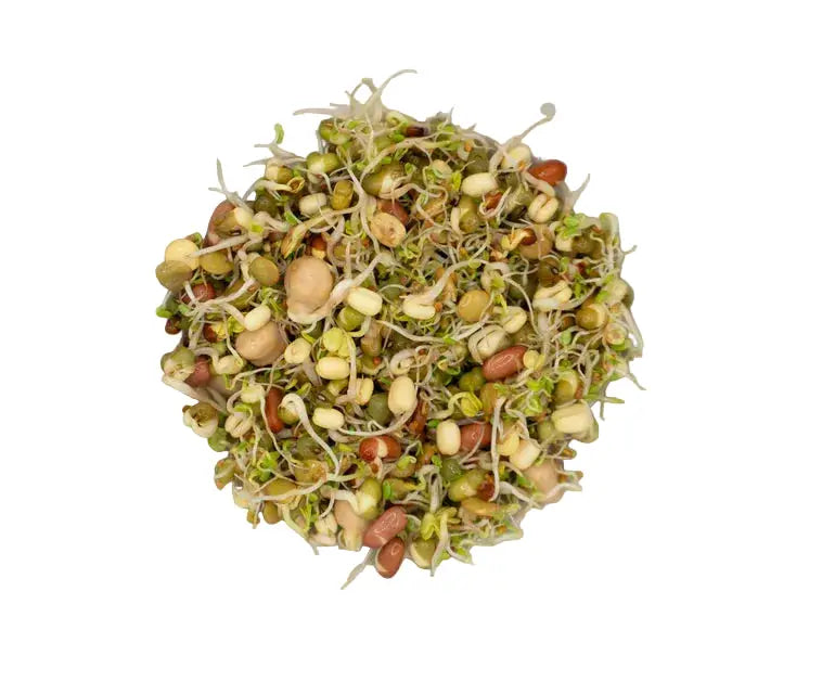 Local Salad Mix Sprouts 80g