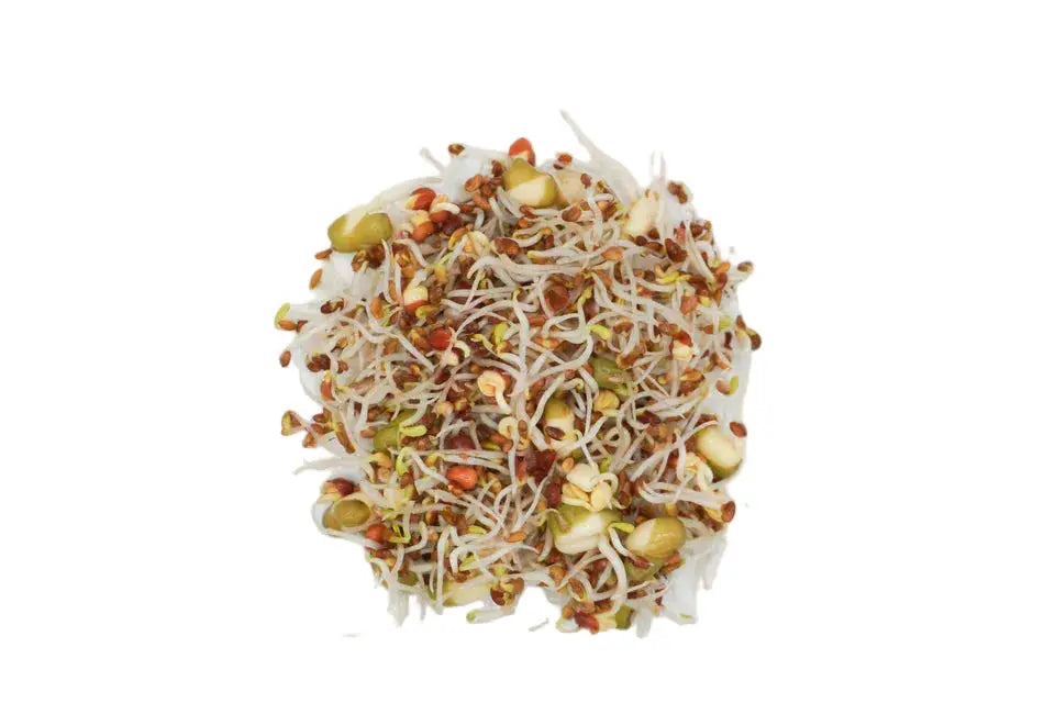 Fresh Leaf Sandwich Blend Sprouts 100g