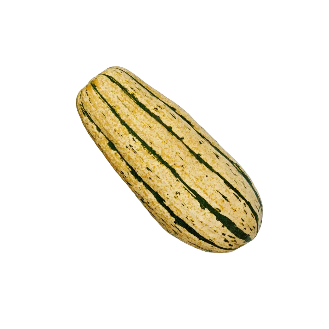 Squash Delicata Orga Each by Produce Items