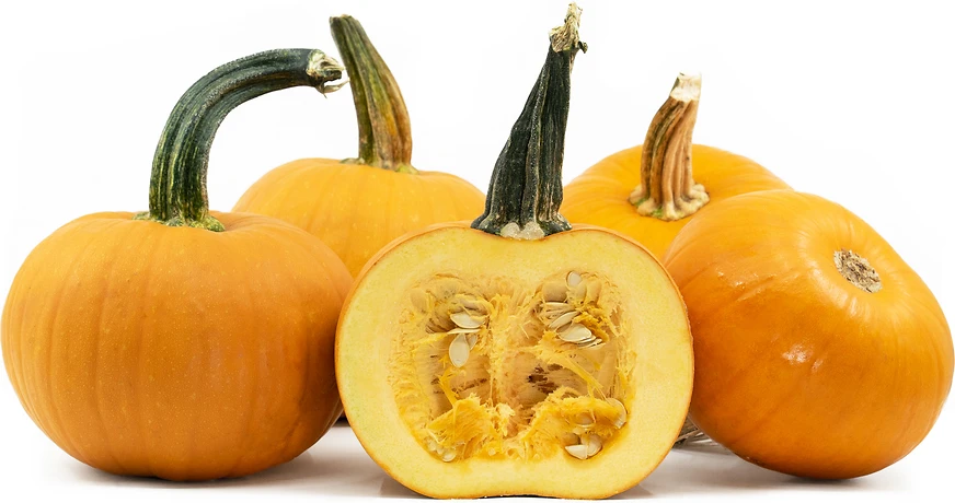 Sugar Pie Pumpkin KG by Produce Items