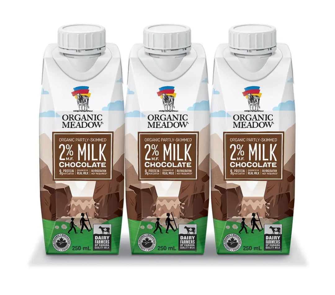 Chocolate Milk 2% Tetrapak 4x250ml