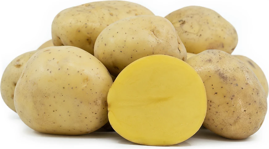 Potatoes Yukon/Yello per kg by Produce Items