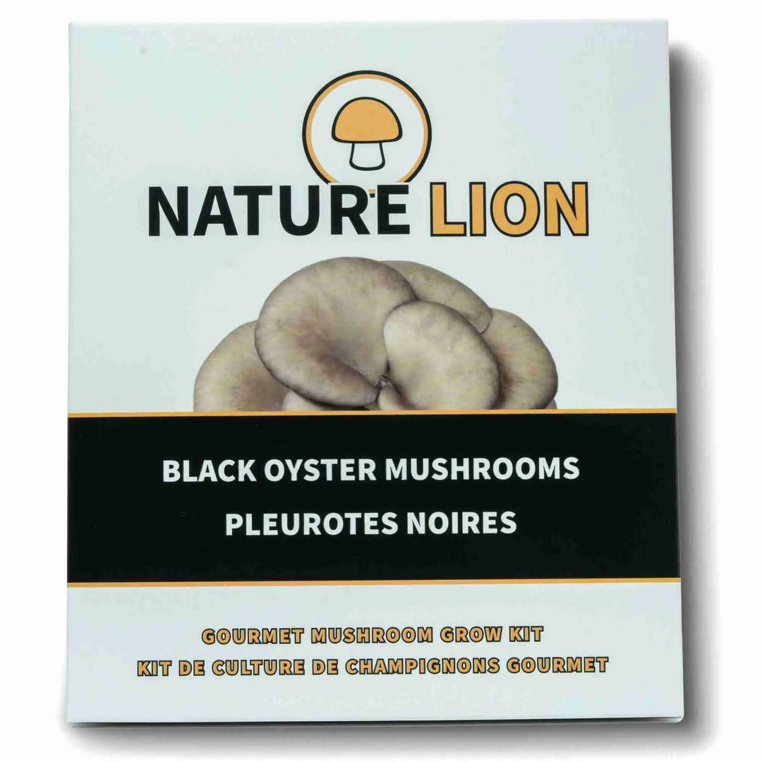 Black Oyster Mushroom Grow Kit