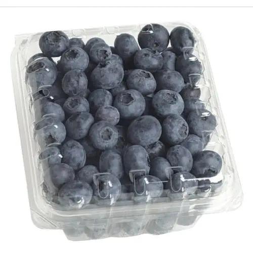 Blueberries Pint pint