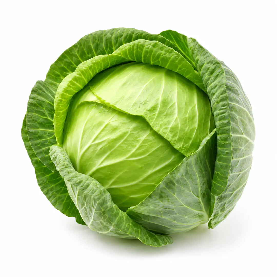 Green Cabbage Local Organic