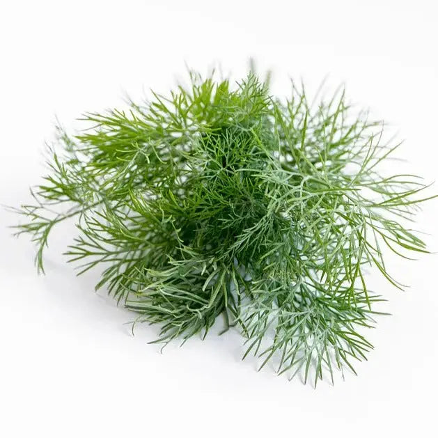 Baby Dill Organic each