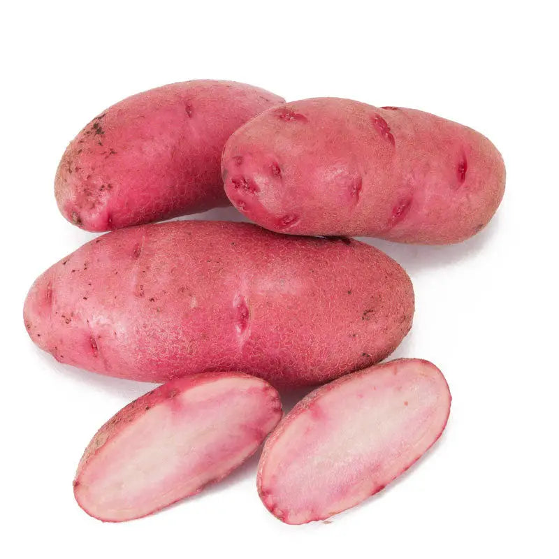 Red Fingerling Potatoes Organic