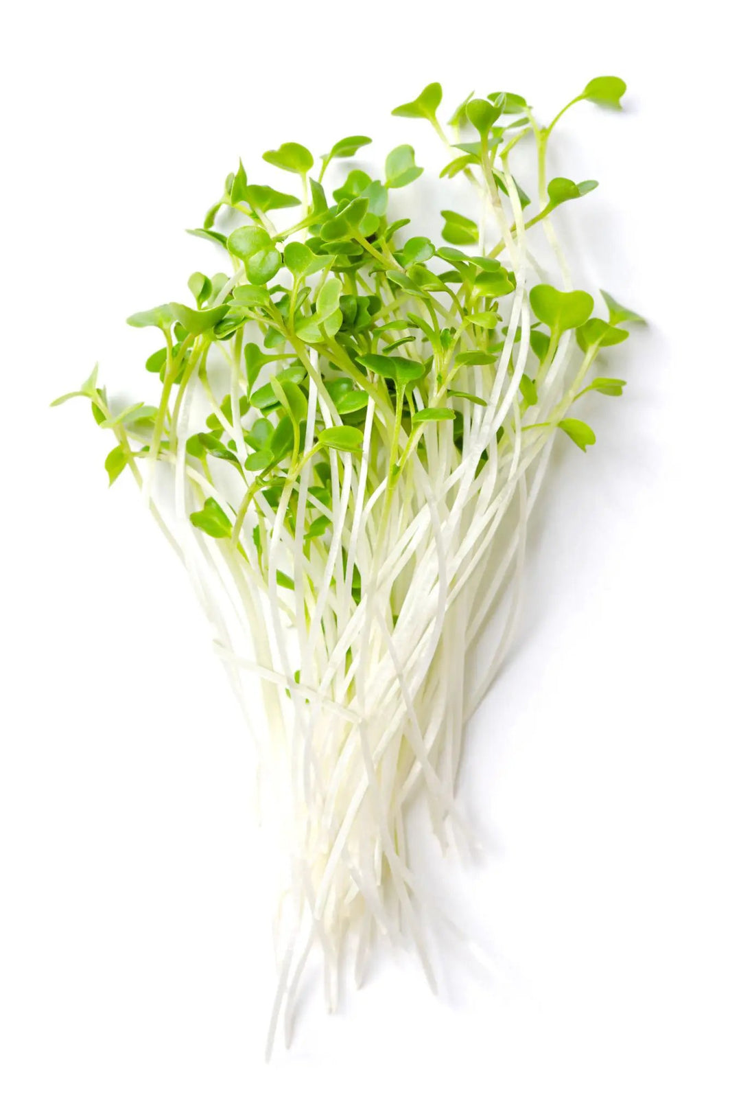 Local Kale Sprouts 80g