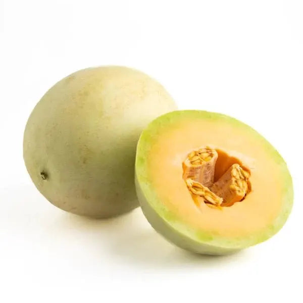 Melon Honeydew  Organic