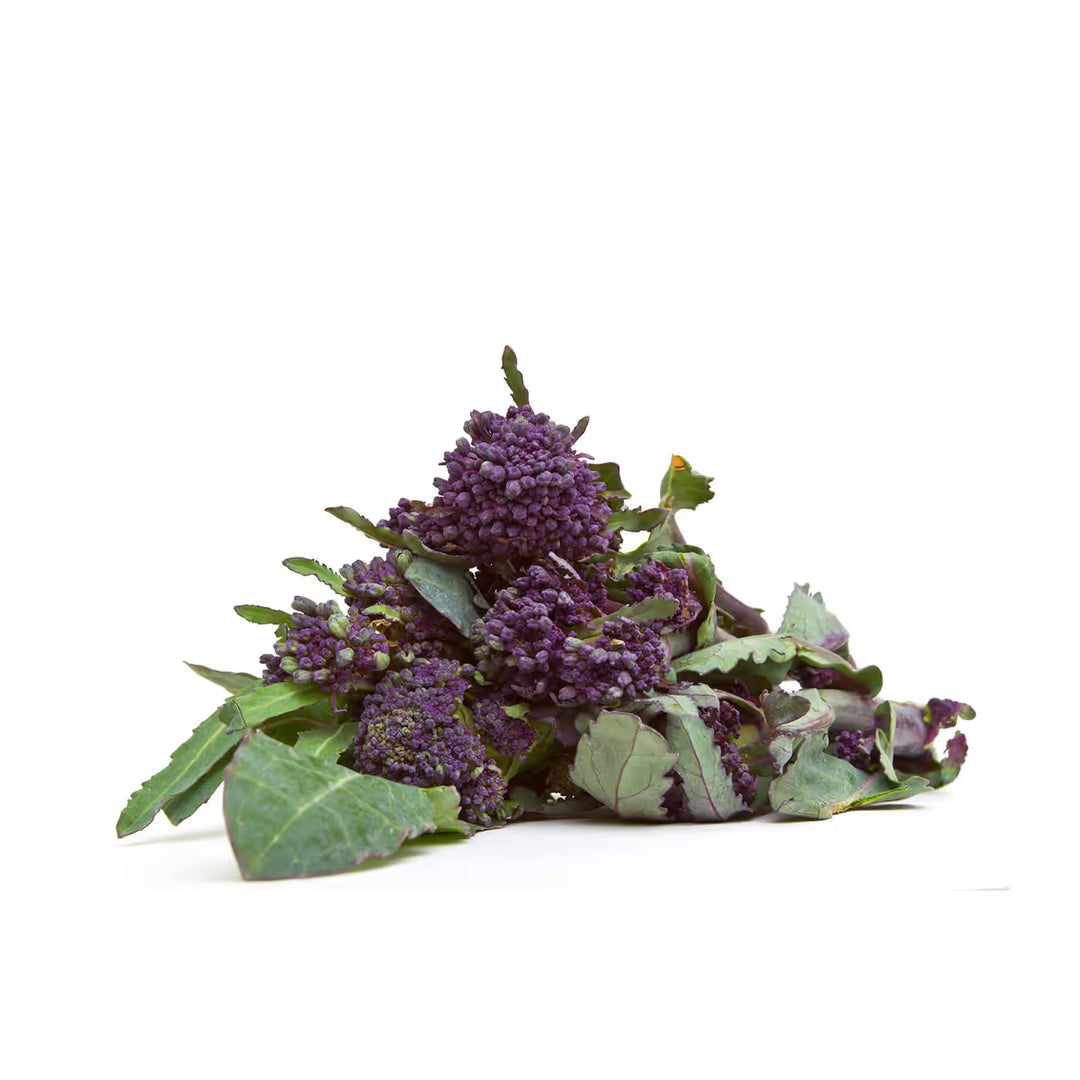 Purple Broccolini Organic each