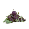 Purple Broccolini Organic each