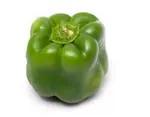 PEPPERS RED ORGAN