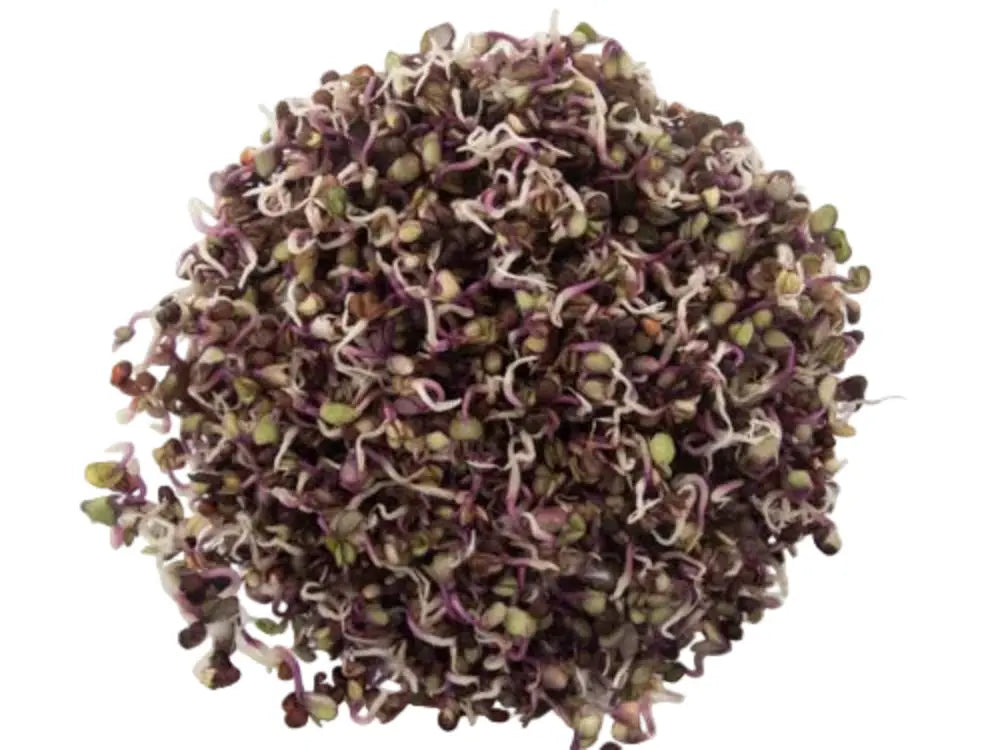 Local Kholrabi Sprouts 80g