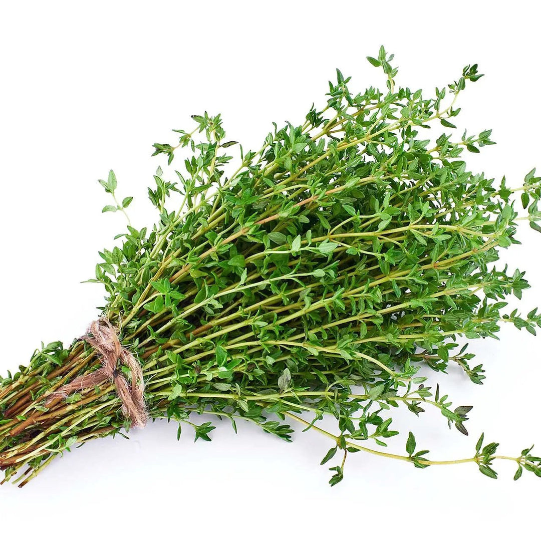 Bunched Thyme
