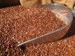 Red Quinoa Grain Org per kg by Bulk Bin Items