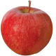 Apples Cameo Organic per KG