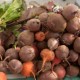 Beets Red Org Local per KG