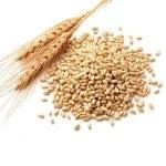 Wheat Germ Raw 400g by Vita Market